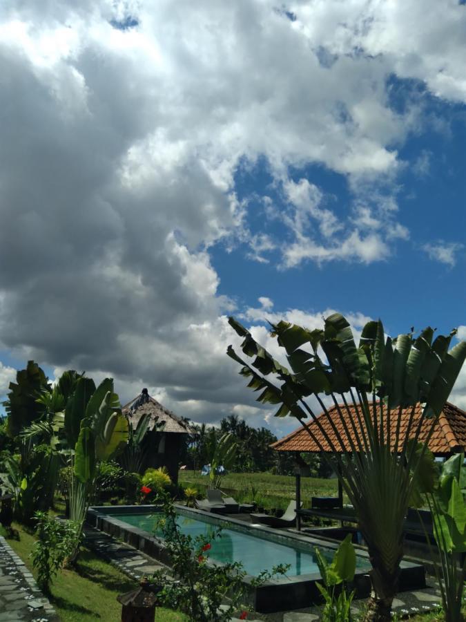 Taman Bintang Villa Ubud Dış mekan fotoğraf