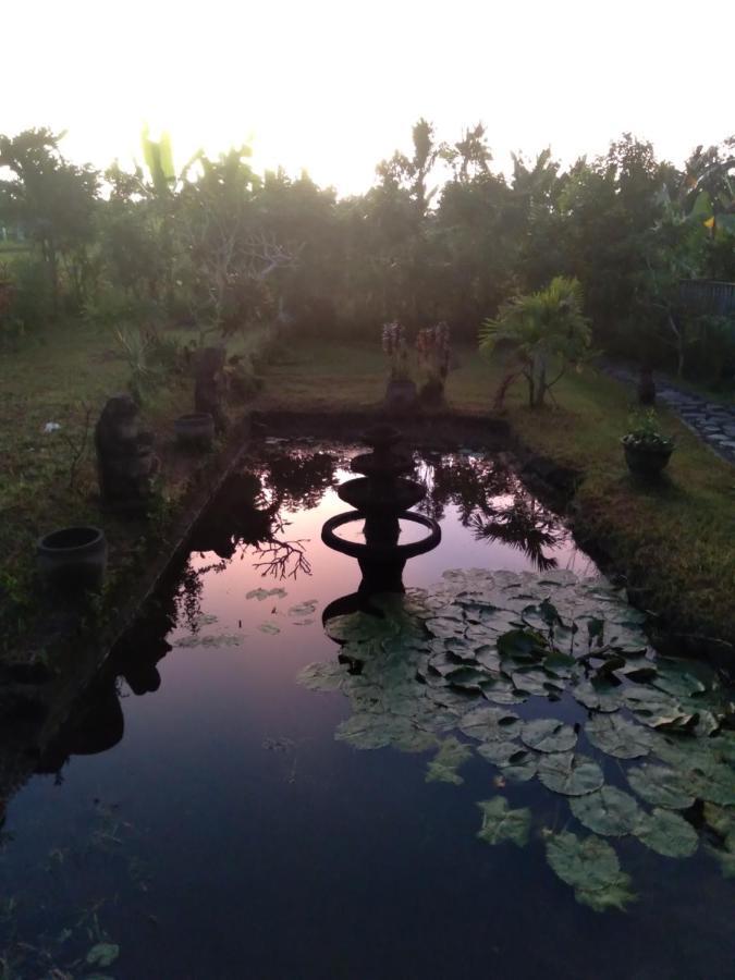 Taman Bintang Villa Ubud Dış mekan fotoğraf