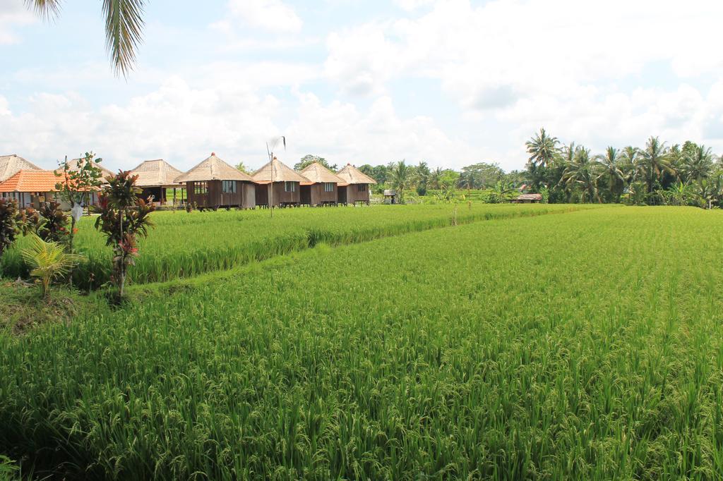 Taman Bintang Villa Ubud Dış mekan fotoğraf